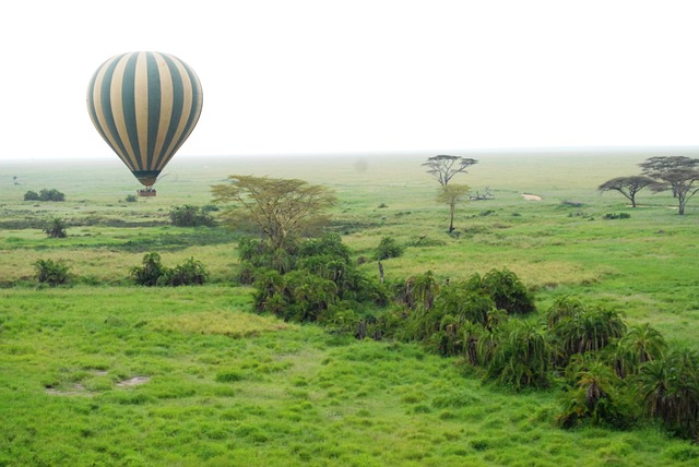 balloon over serengeti
