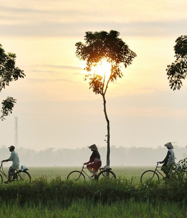 Cycle Indochina