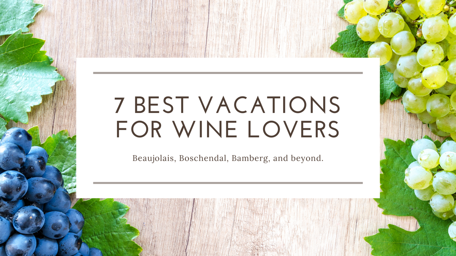 Vacations for wine lovers